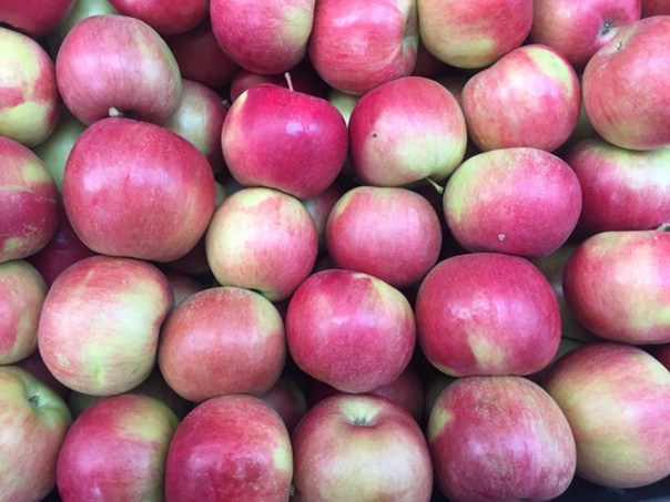 Айдаред яблоки описание фото отзывы