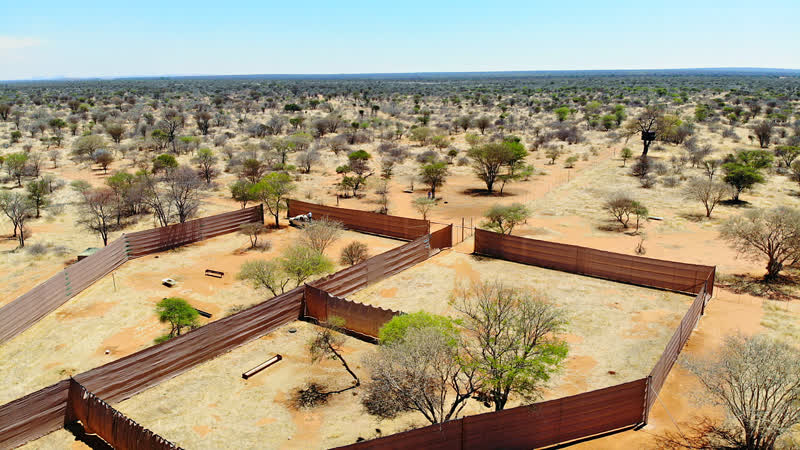 812 Hectares Game Cattle Ranch Prime Location Ellisras