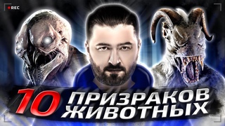 HARD PLAY СМОТРИТ ЗОМБИ ЧЕЗ 10 ПРИЗРАКОВ ДОМАШНИХ ЖИВОТНЫХ