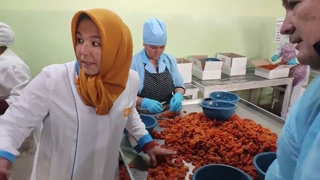 Курага - от сырья к готовому продукту: мойка, сульфитация, качество, безопасность, микотоксины