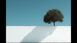 Simon Vuarambon, Tantum - Zenith