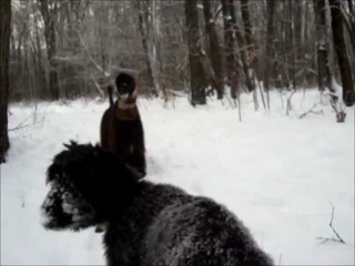 Winter - 2011 !.wmv