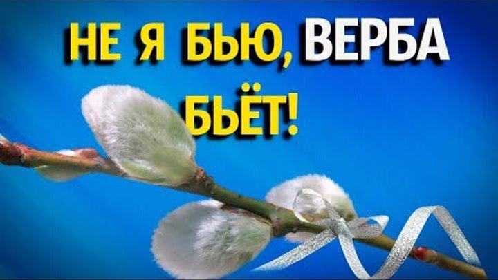 Почему вербой нельзя бить по попе Верба хлест, бей до слез