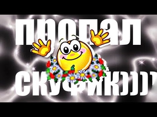 ПРОПАЛ СКУФИК)))