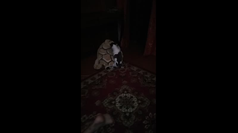 Видео от Ромы