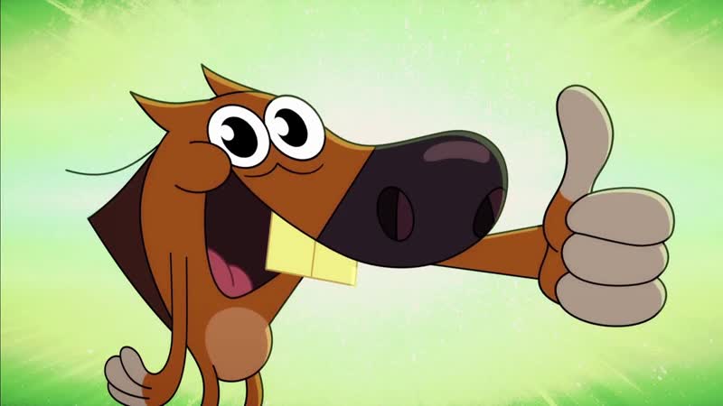 Zig Sharko HAPPY ZIG 2020 COMPILATION Cartoons for